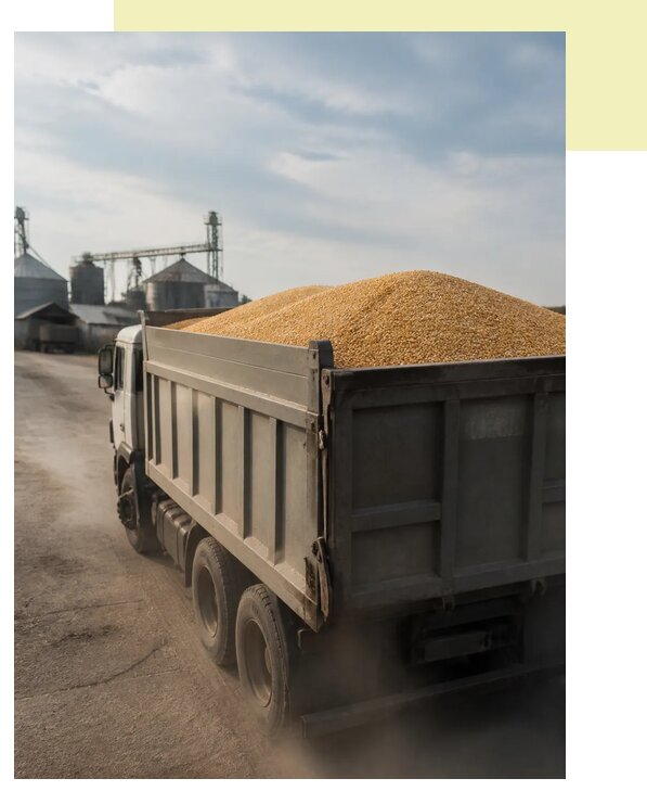 Перевозка сельхозпродукции навалом в Старую Русса по цене от 3057 р. | Агросервис-Срс
